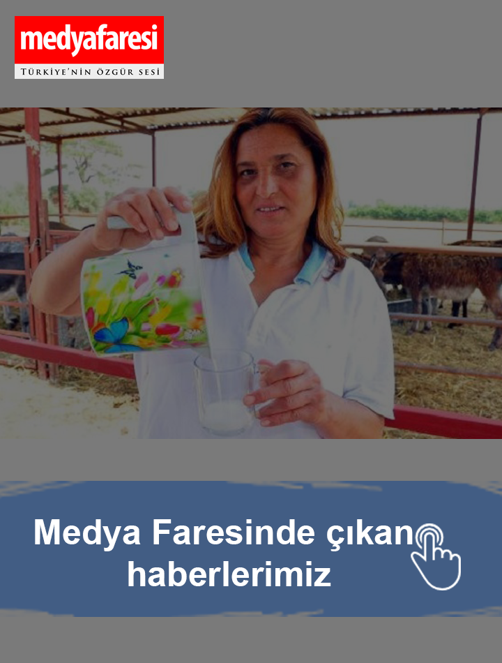 Medya Faresi